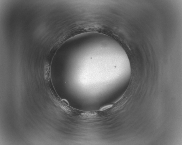 X0000073840480200608101234