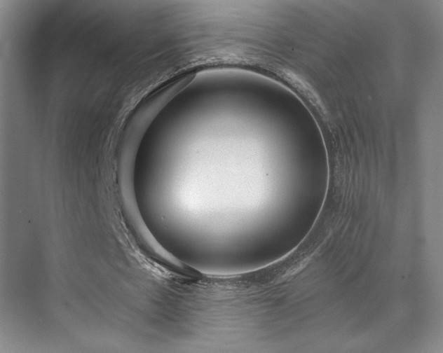 X0000073840481200608101233