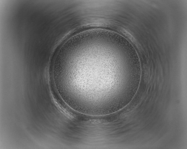 X0000073840482200608101233