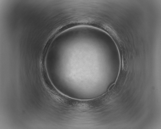 X0000073840483200608101233