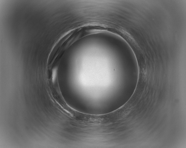 X0000073840484200608101233