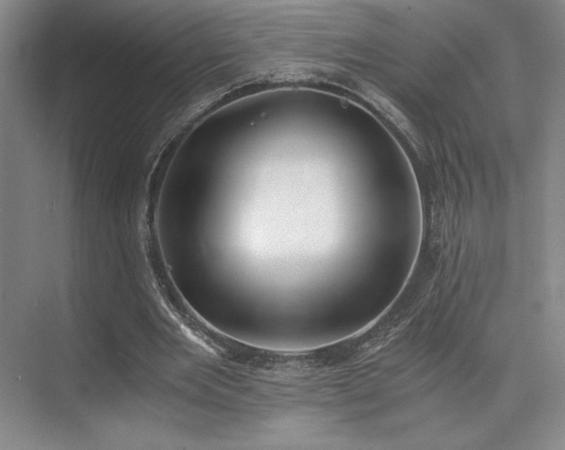 X0000073840485200608101233