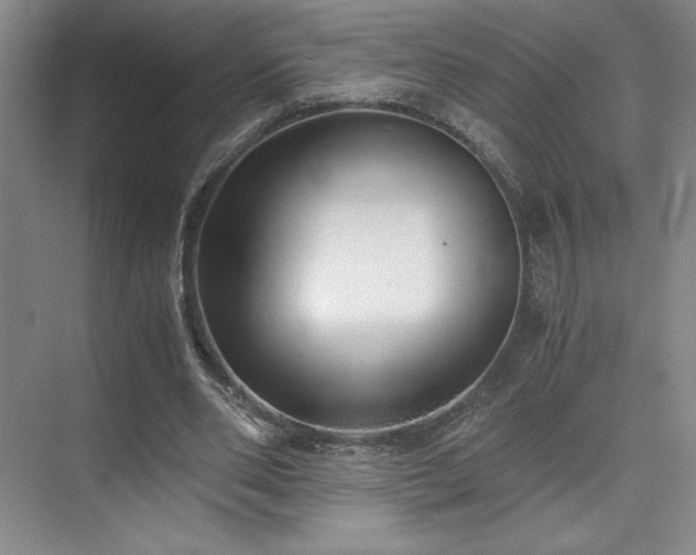 X0000073840486200608101233