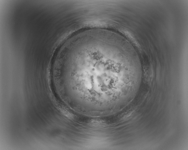 X0000073840487200608101233