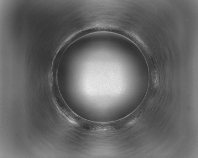 X0000073840488200608101233