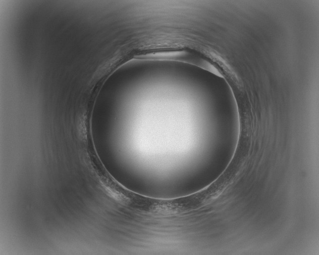 X0000073840489200608101233