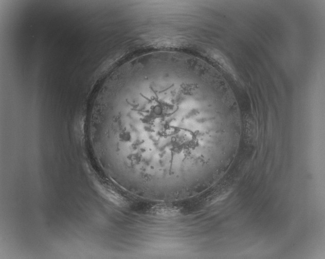 X0000073840491200608101233