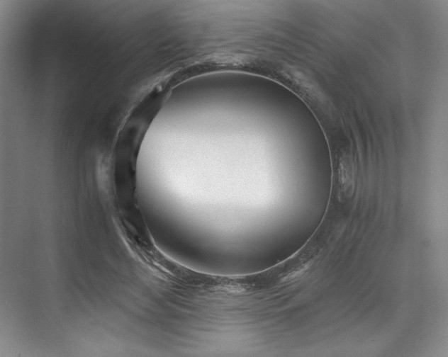 X0000073840492200608101233