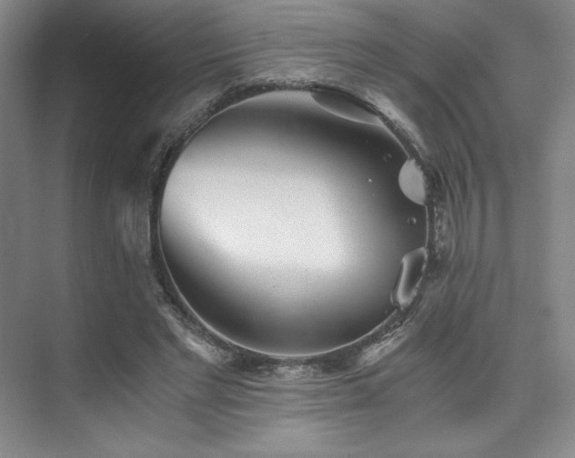 X0000073840493200608101233