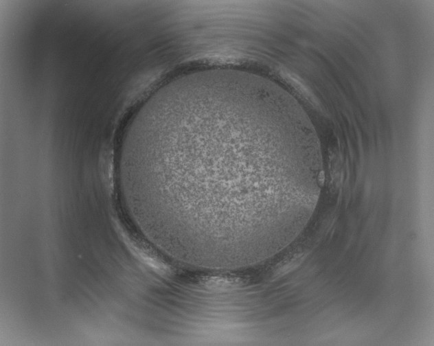 X0000073840494200608101233