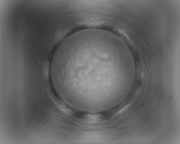 X0000073840495200608101233