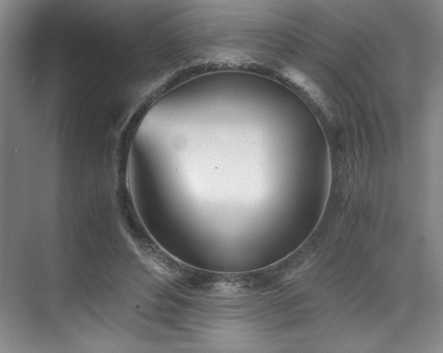 X0000073840496200608101233