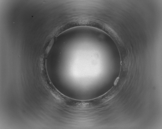 X0000073840497200608101233