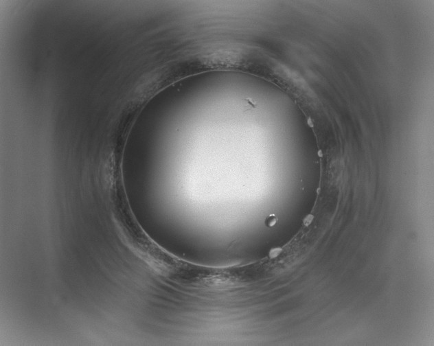 X0000073840498200608101233