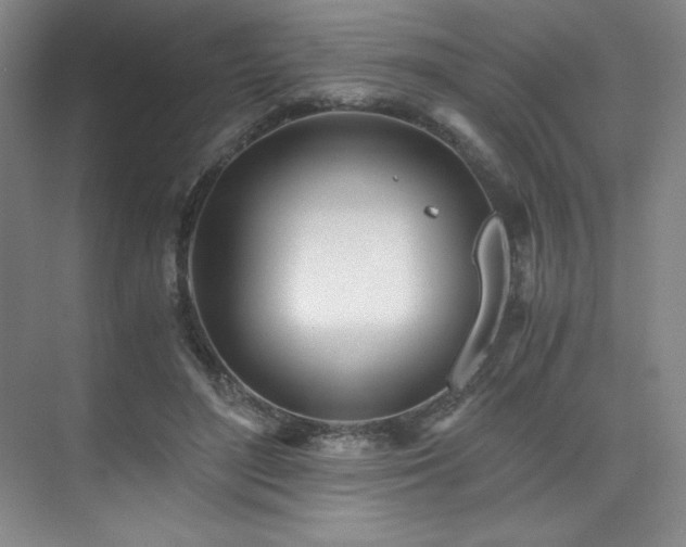 X0000073840500200608101233