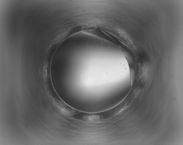 X0000073840501200608101233