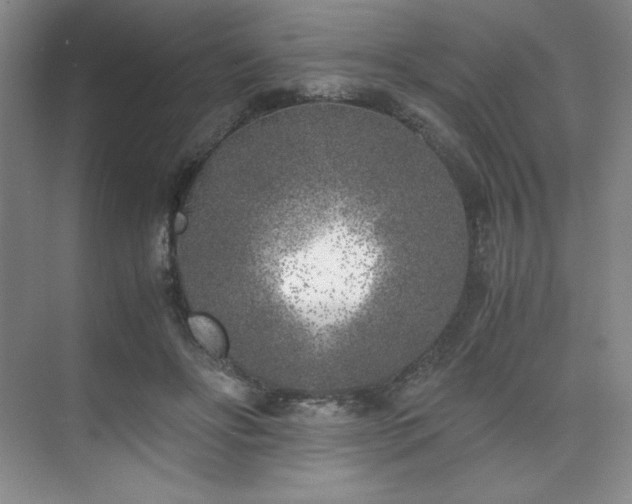 X0000073840502200608101233