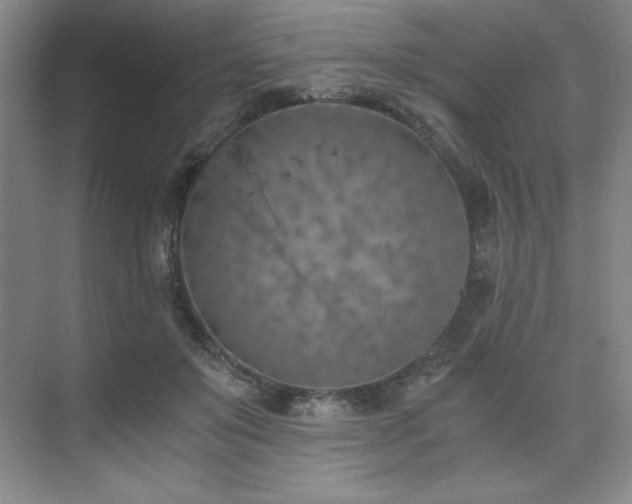 X0000073840503200608101233