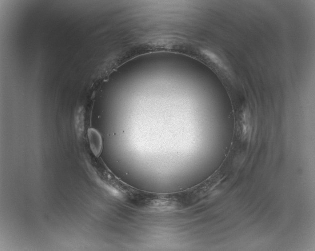 X0000073840504200608101233