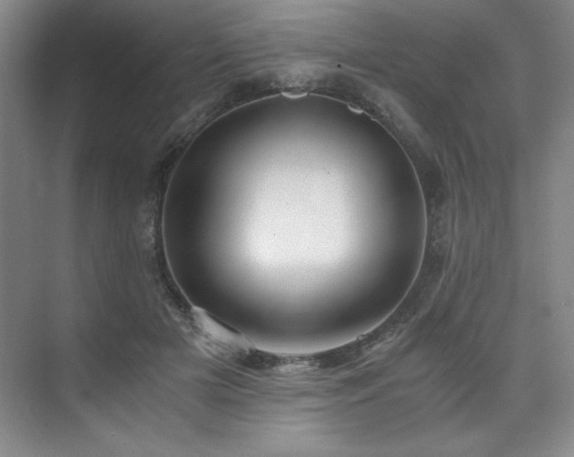 X0000073840505200608101233