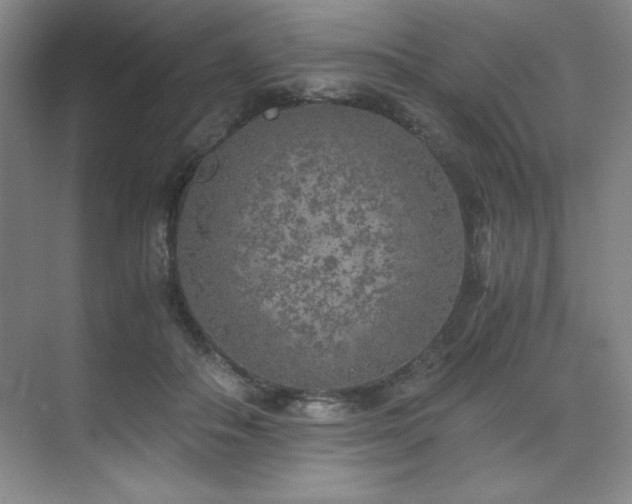 X0000073840506200608101233