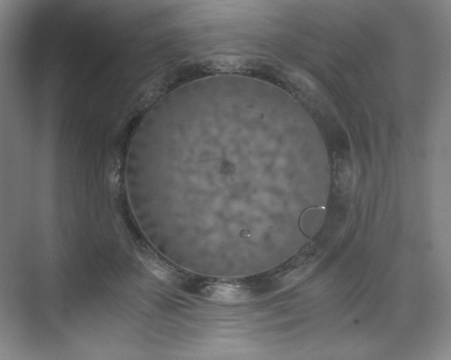 X0000073840507200608101233