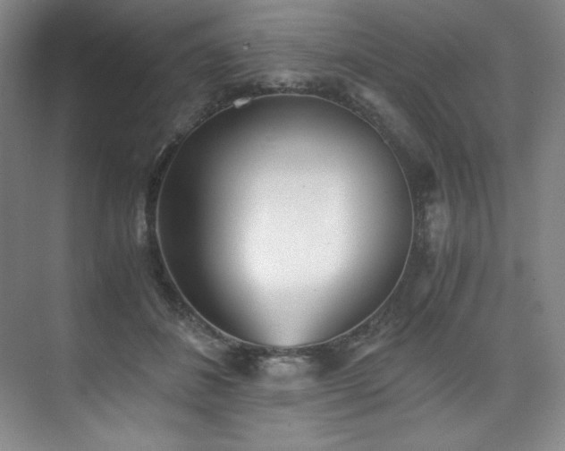 X0000073840508200608101233