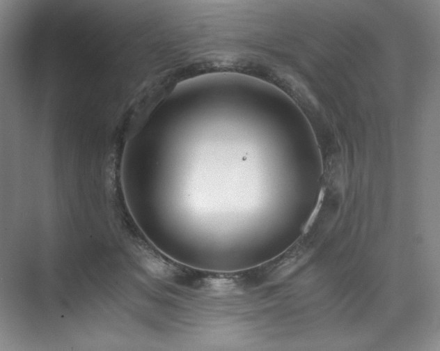 X0000073840509200608101233