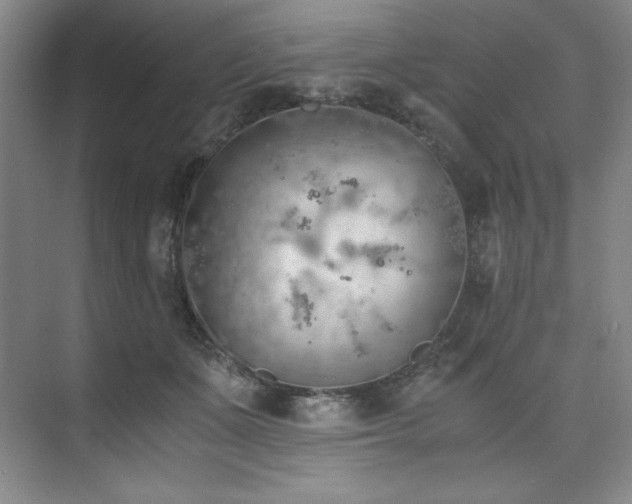 X0000073840511200608101233