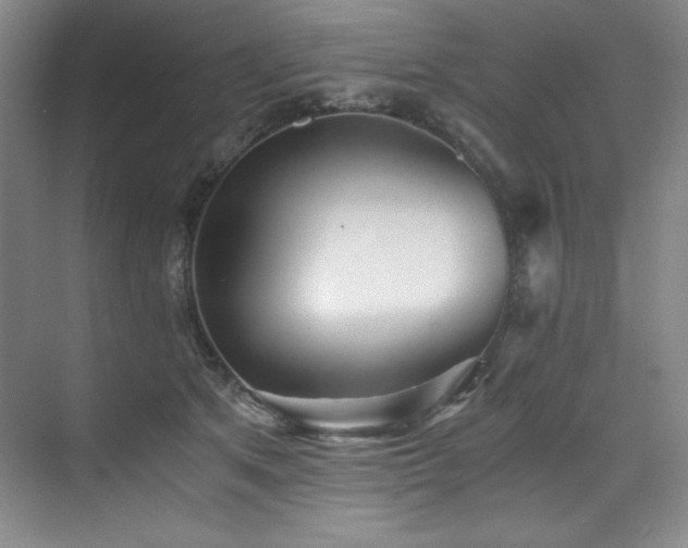 X0000073840513200608101233