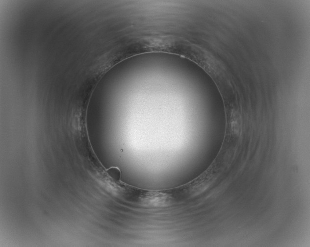 X0000073840514200608101233