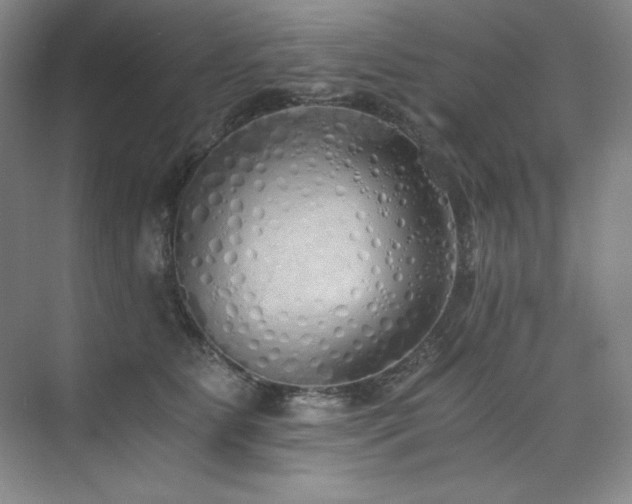 X0000073840515200608101233