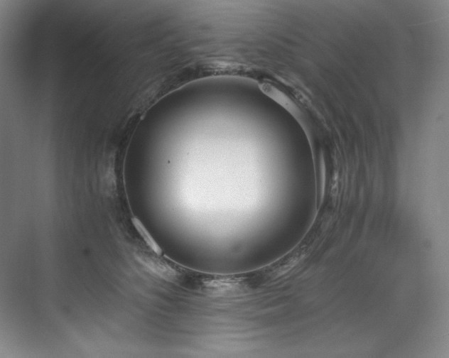 X0000073840516200608101233