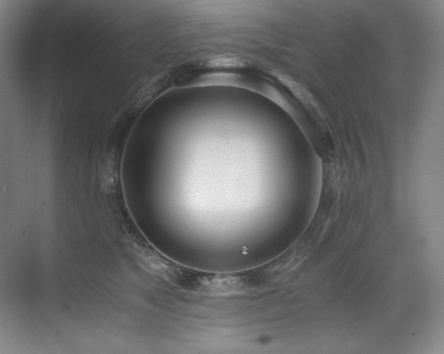 X0000073840517200608101233