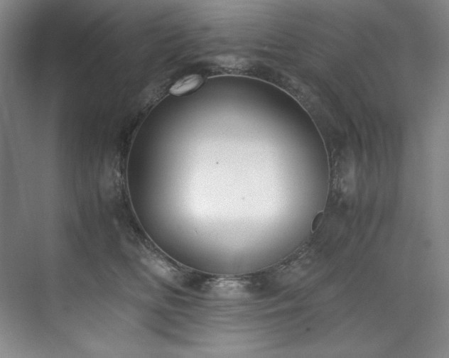 X0000073840518200608101233