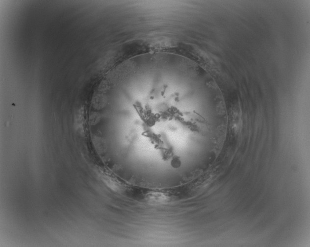 X0000073840519200608101233