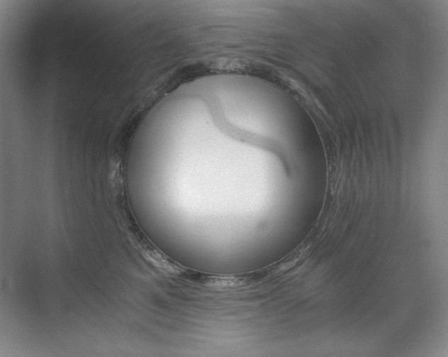 X0000073840521200608101233