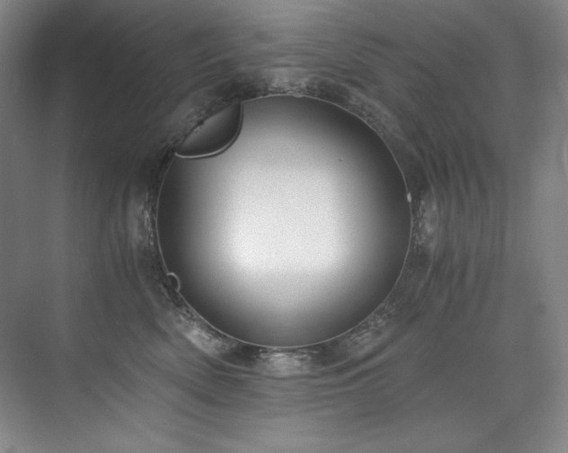 X0000073840522200608101233