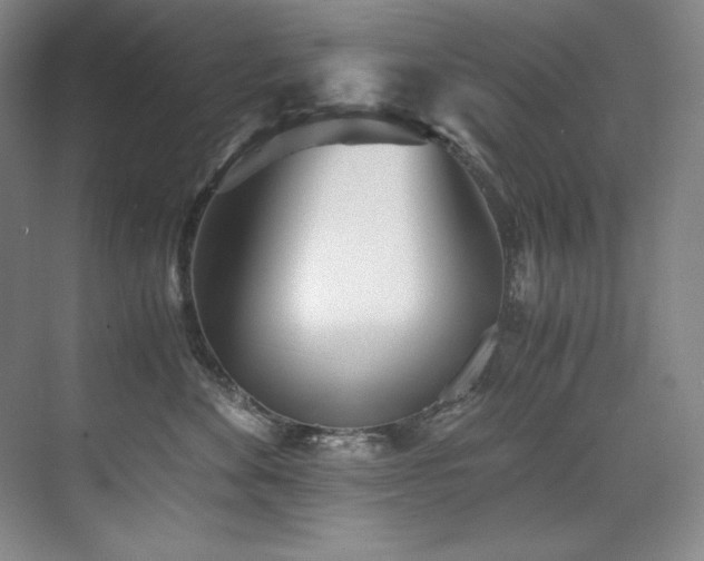 X0000073840524200608101233