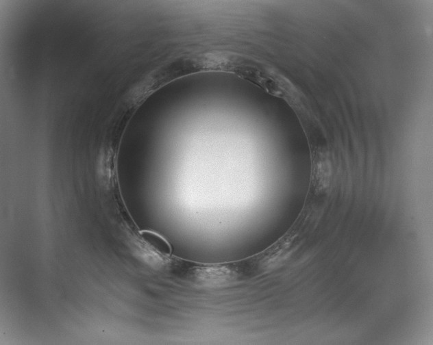 X0000073840525200608101233