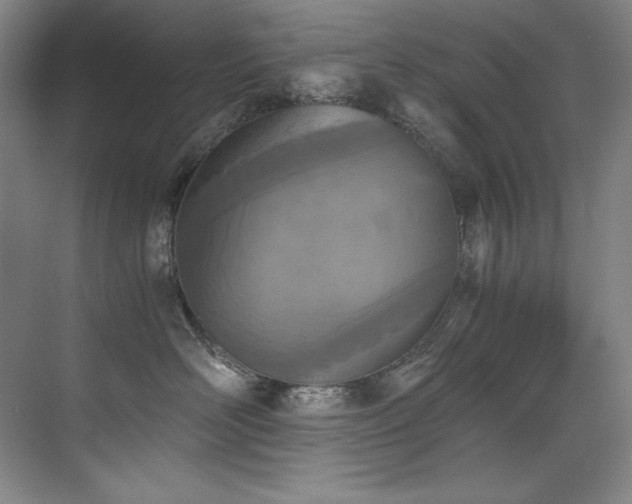 X0000073840526200608101233