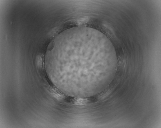 X0000073840527200608101233