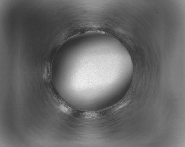 X0000073840528200608101233