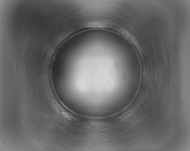 X0000073840529200608101232