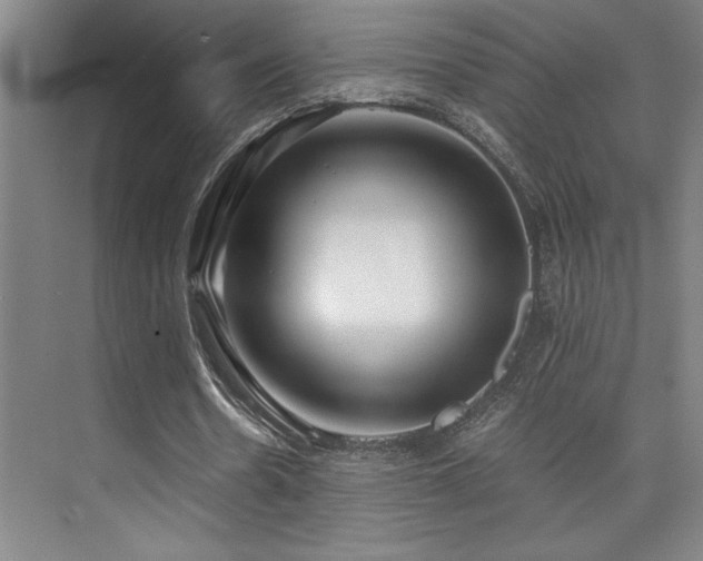 X0000073840530200608101232