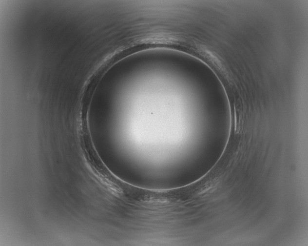 X0000073840531200608101232