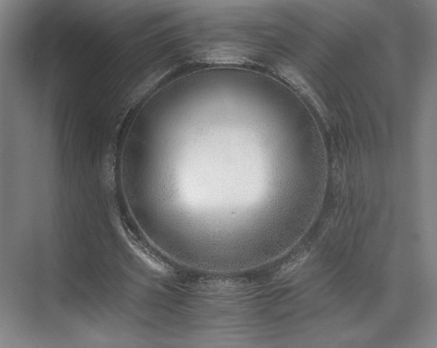 X0000073840533200608101232