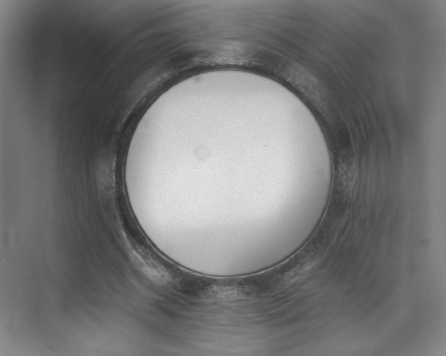 X0000073840534200608101232