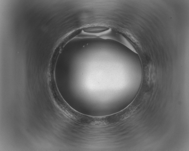 X0000073840536200608101232