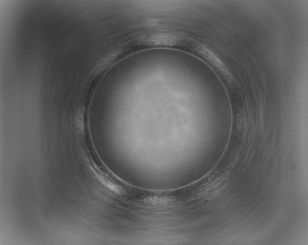 X0000073840537200608101232